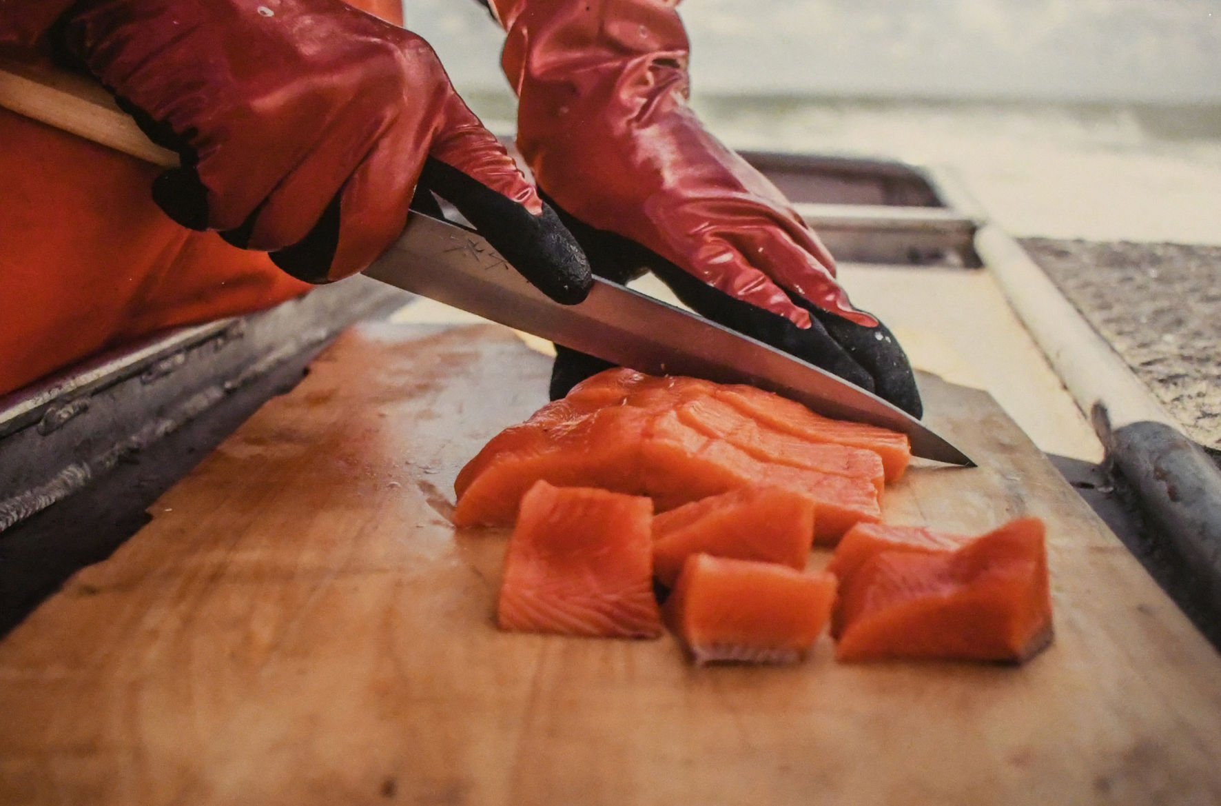 Salmon Picture 3.jpg